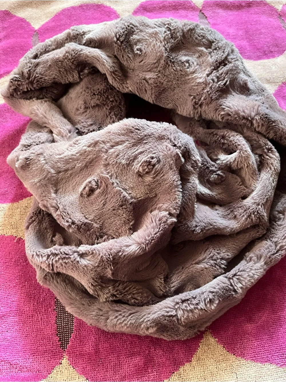 LOFT Faux Fur Infinity Scarf